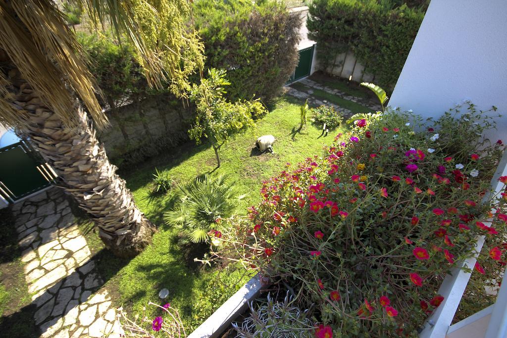 B&B Villa Genny A Pochi Passi Dal Mare