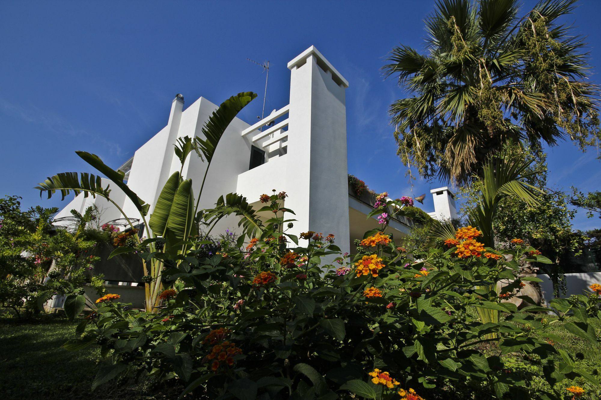 Holiday home B&B Villa Genny A Pochi Passi Dal Mare San Cataldo (Apulia)